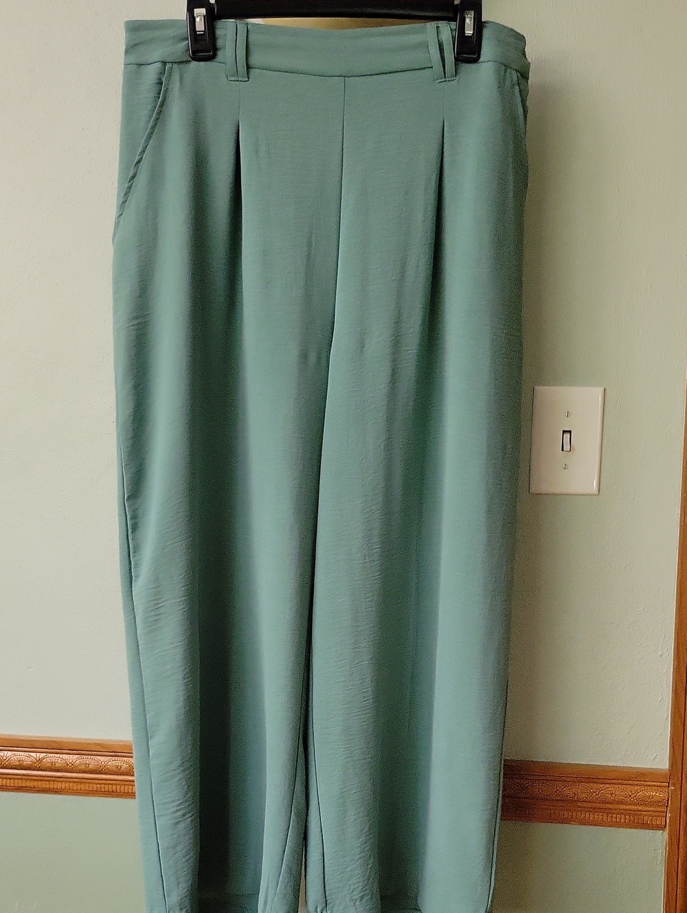 Sage Green Women's Dress Pants